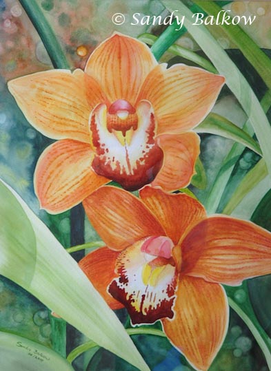 orange orchids