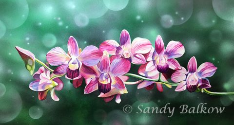 purple orchids